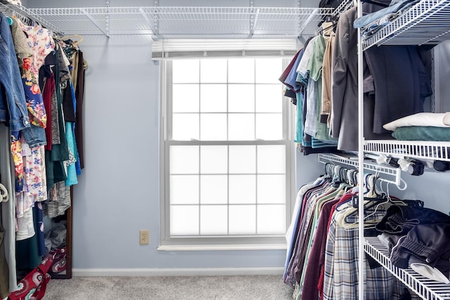 spacious closet with carpet flooring