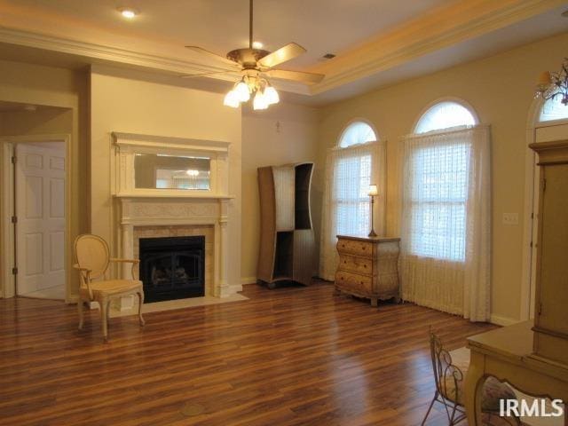 living room featuring ceiling fan, dark hardwood / wood-style floors, and a raised ceiling