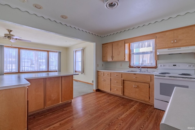 kitchen featuring a healthy amount of sunlight, sink, light hardwood / wood-style flooring, and electric stove