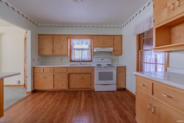 kitchen featuring electric stove, sink, and light wood-type flooring