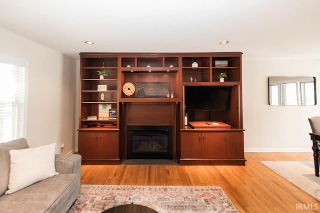 living room featuring light hardwood / wood-style flooring