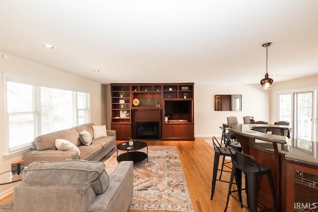 living room with light hardwood / wood-style flooring