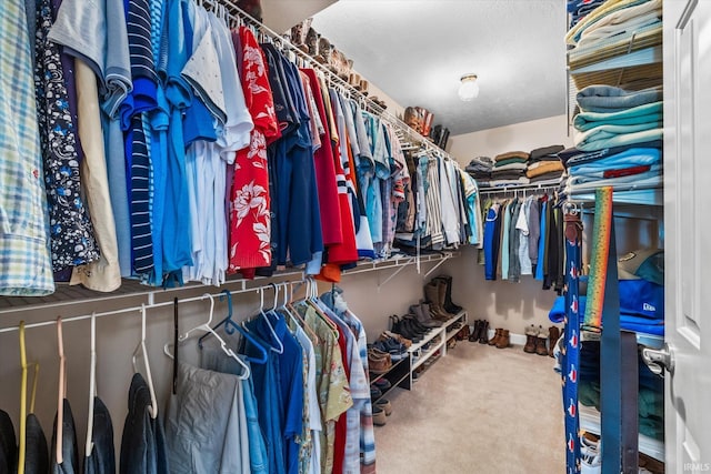 spacious closet featuring carpet