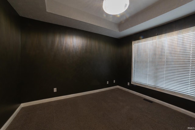 carpeted spare room featuring a raised ceiling