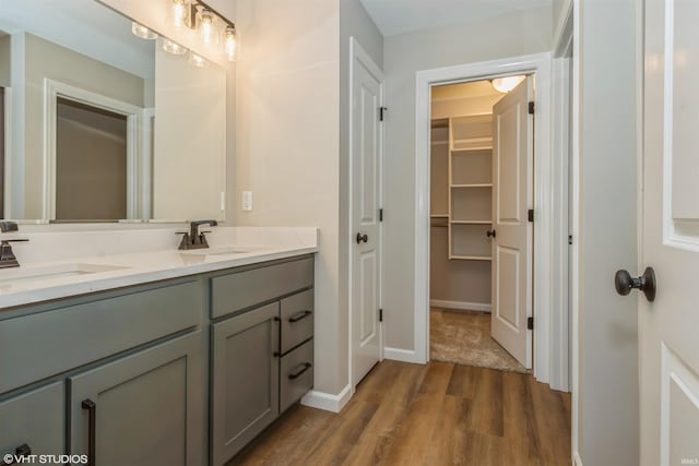 bathroom with hardwood / wood-style flooring and vanity