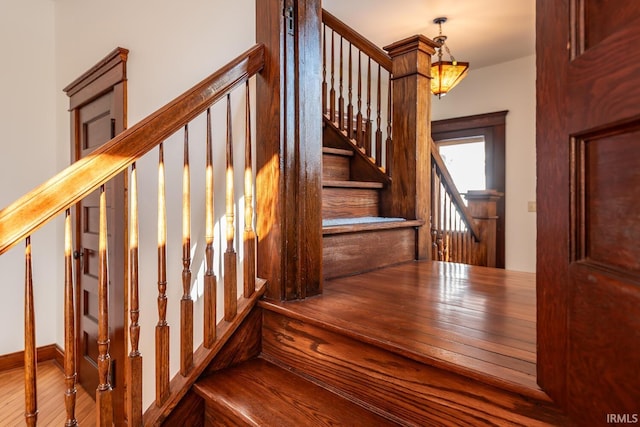 staircase with wood-type flooring