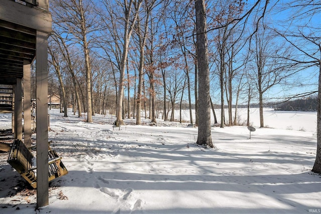 view of snowy yard