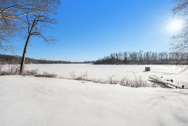 view of yard covered in snow