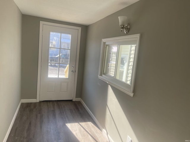 entryway featuring dark wood-type flooring