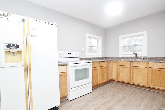 kitchen with light hardwood / wood-style floors, sink, and white appliances