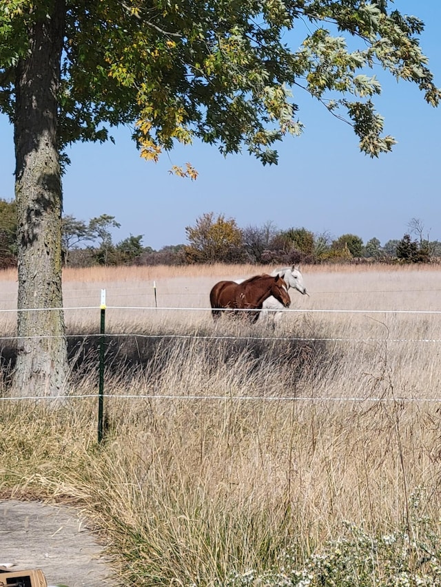 view of yard with a rural view