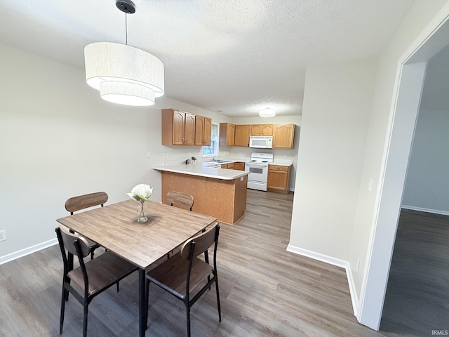 dining area with sink, a textured ceiling, and hardwood / wood-style flooring