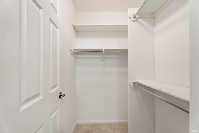 walk in closet featuring light carpet