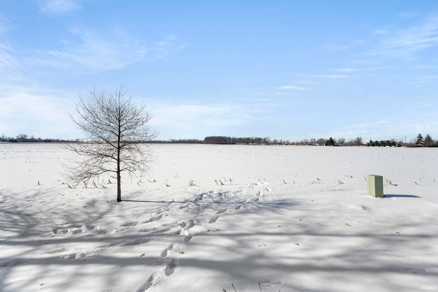 view of snowy yard