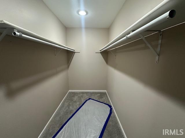 walk in closet with carpet floors