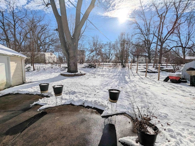 view of snowy yard