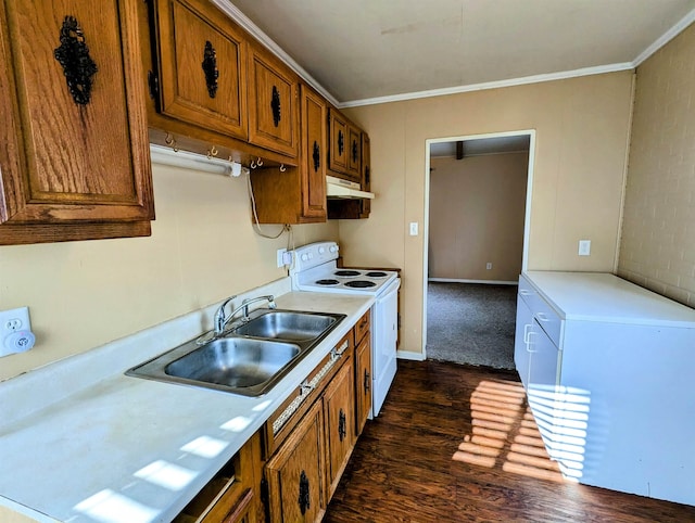 kitchen with dark hardwood / wood-style floors, ornamental molding, white electric range oven, and sink