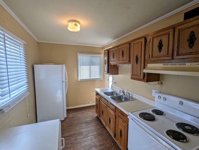 kitchen with sink, white appliances, crown molding, and a wealth of natural light