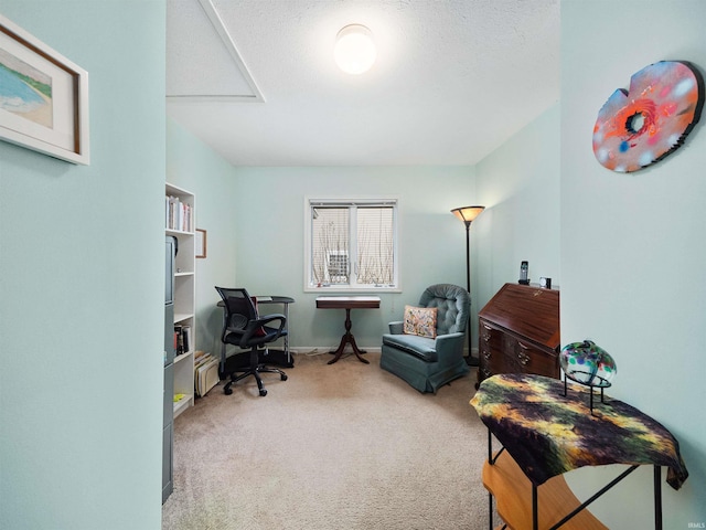 carpeted office space with a textured ceiling