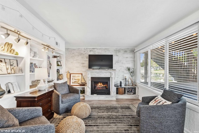 living room with hardwood / wood-style flooring and built in features