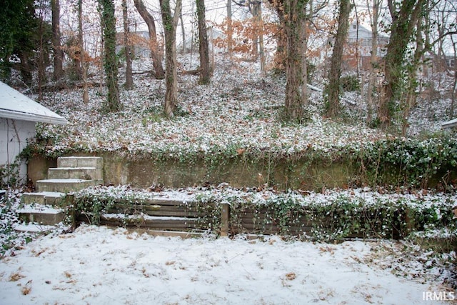 view of yard layered in snow