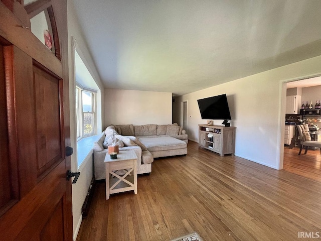 living room with hardwood / wood-style flooring