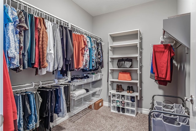 walk in closet with carpet flooring