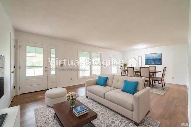 living room featuring wood-type flooring