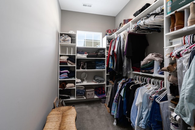 spacious closet with dark colored carpet