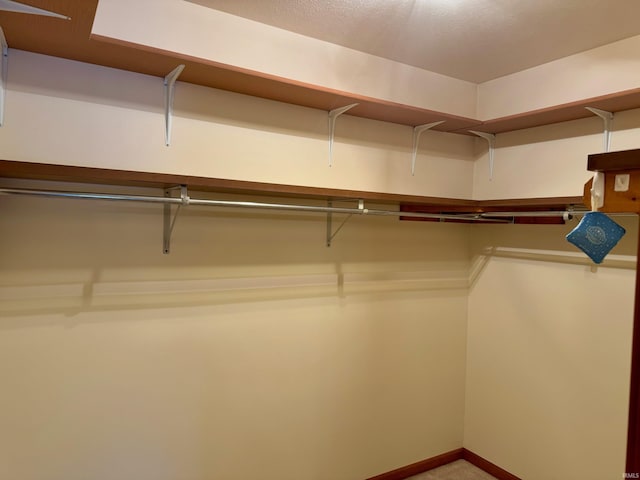 walk in closet with light colored carpet