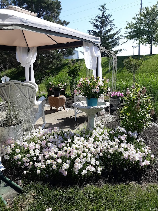 view of yard featuring a gazebo and a patio