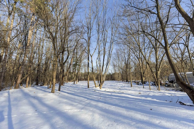 view of yard covered in snow