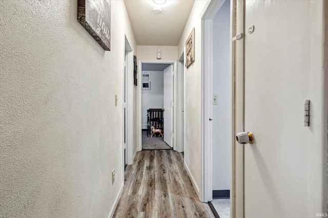 hallway featuring light hardwood / wood-style flooring