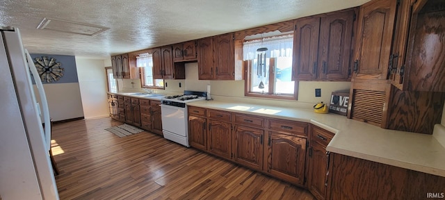 kitchen with sink, white appliances, a textured ceiling, and a wealth of natural light