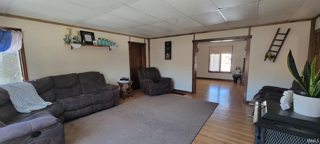 living room with light hardwood / wood-style flooring and a paneled ceiling