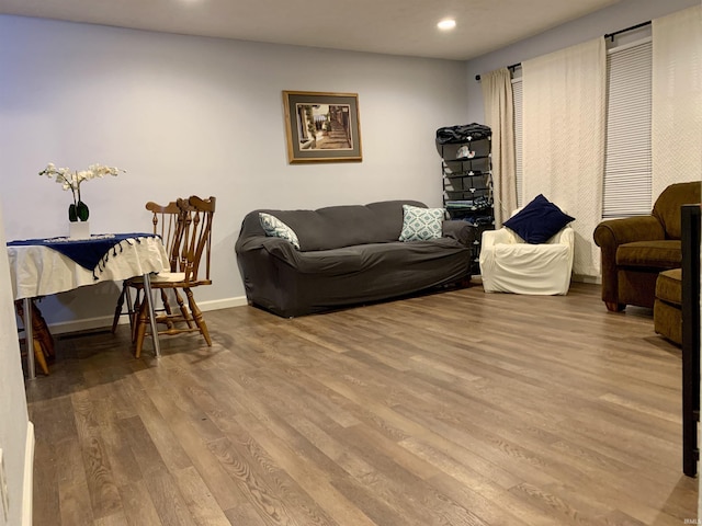 living room with wood-type flooring