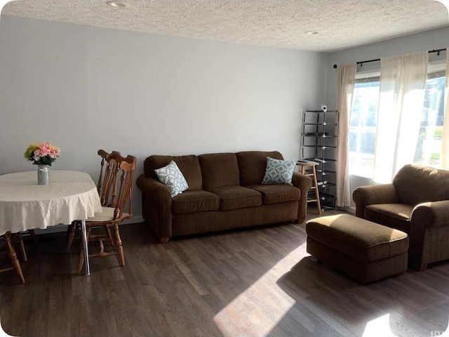 living room featuring a textured ceiling and dark wood-type flooring