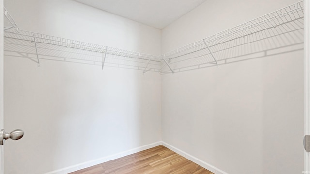 spacious closet with wood-type flooring