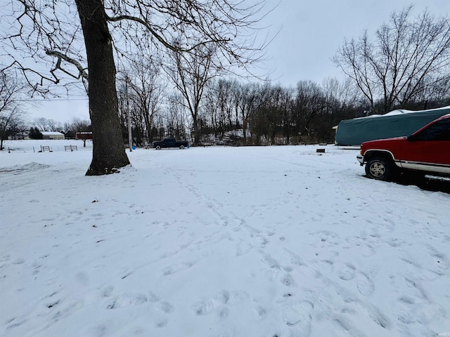 view of yard covered in snow