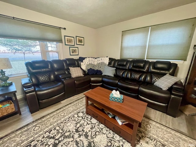 living room with a textured ceiling and light wood-type flooring