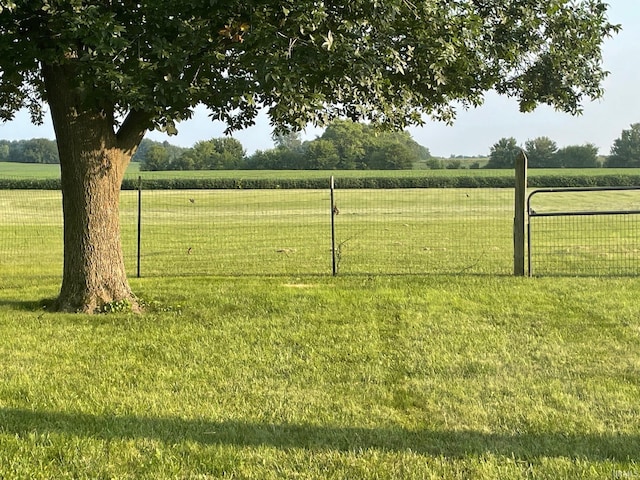 view of yard with a rural view