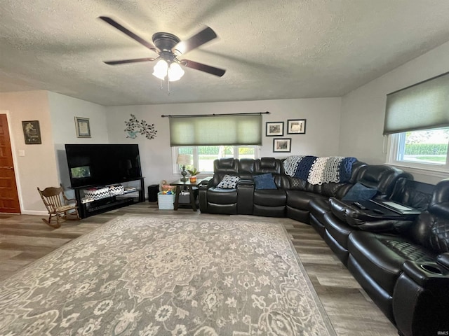 living room featuring ceiling fan, hardwood / wood-style floors, and a textured ceiling