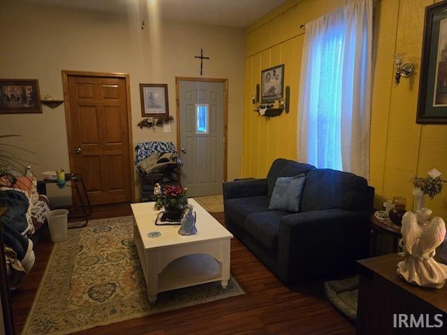 living room with dark hardwood / wood-style flooring