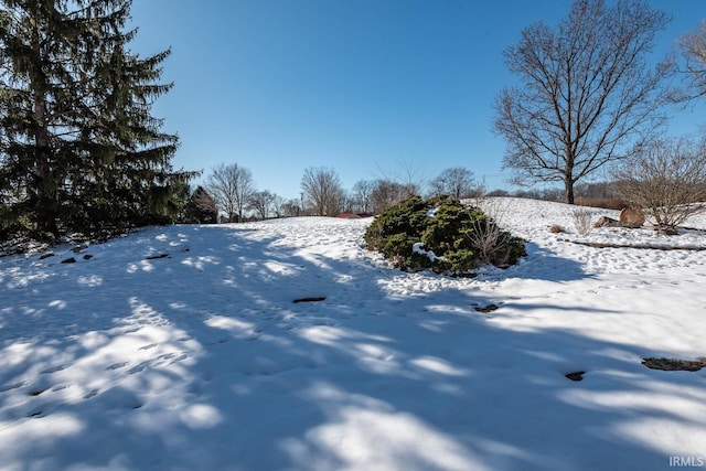 view of snowy yard