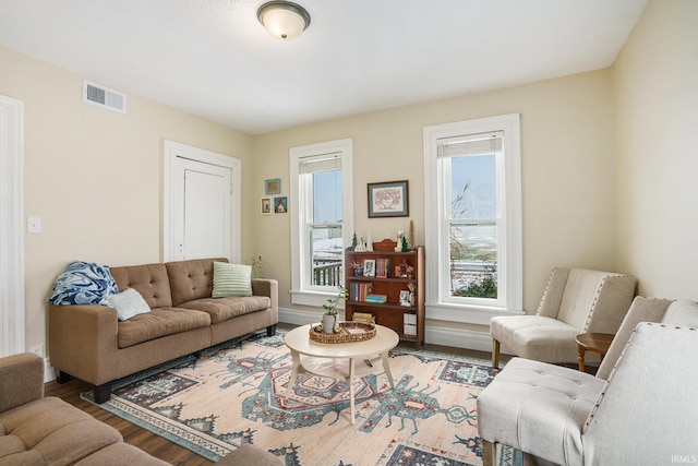 living room featuring hardwood / wood-style flooring