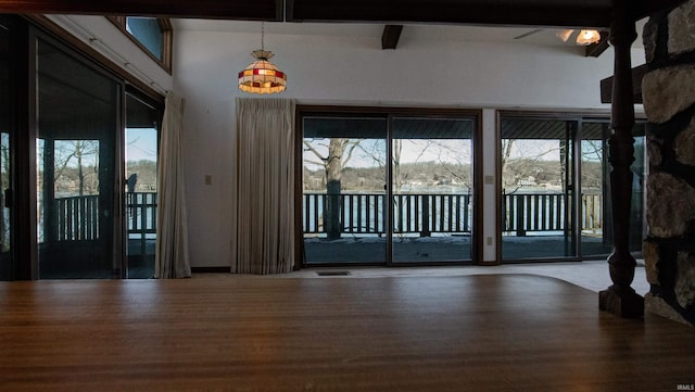 interior space featuring a wealth of natural light and wood-type flooring