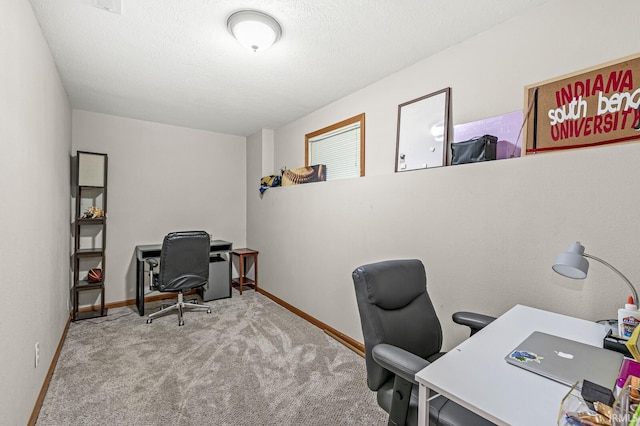 home office with light colored carpet