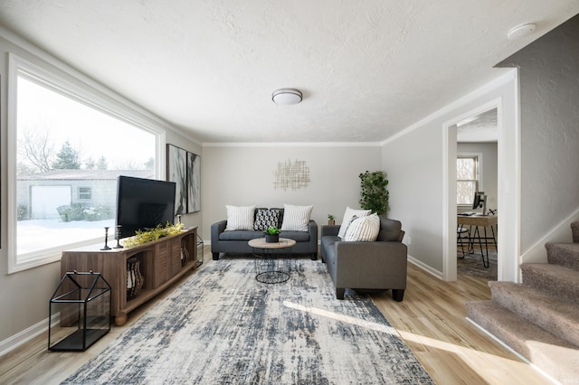 living room featuring light wood-type flooring, a wealth of natural light, and ornamental molding