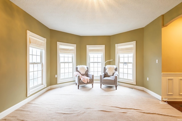 living area featuring a textured ceiling and carpet