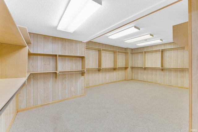 interior space with carpet floors, wood walls, and a textured ceiling